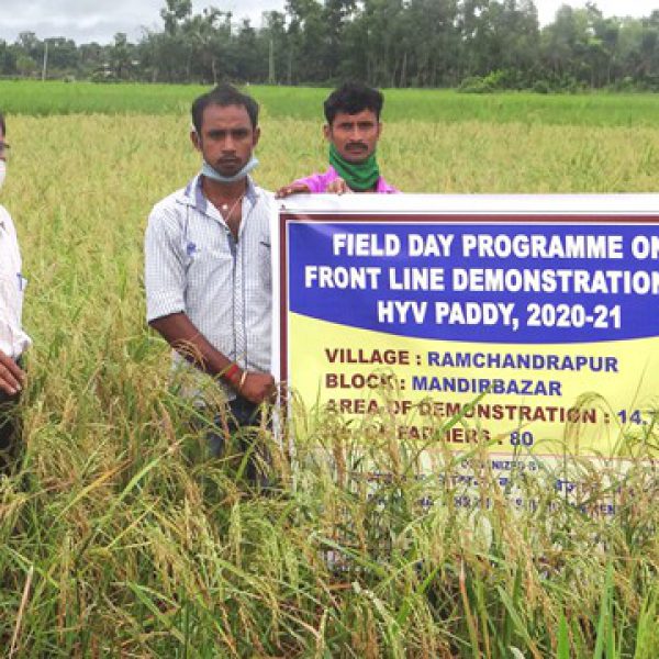 fld_on_hyv_paddy_at_mandirbazar_block
