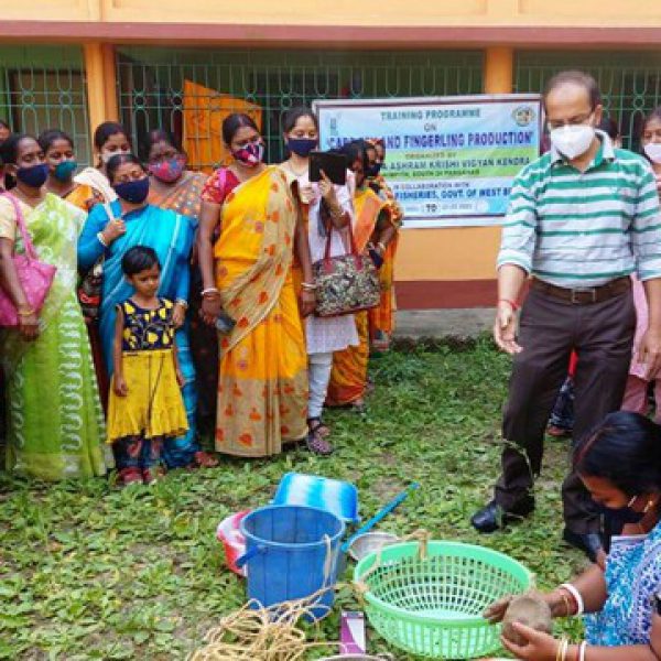 hands_on_training_on_carp_fry_and_fingerling_production_sponsored_by_the_dept._of_fisheries,_govt._of_west_bengal