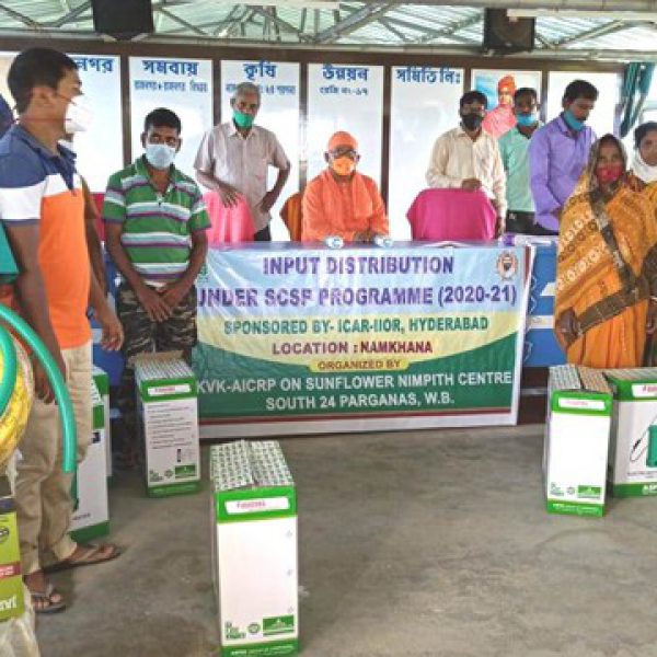 input_distribution_for_sunflower_farmers_under_scsp_programme_of_aicrp_sunflower_at_namkhana