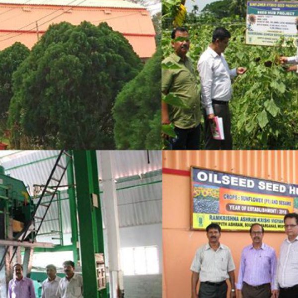 new_oilseed_hub_unit_of_nimpith_kvk