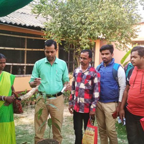 practical_demonstration_in_stry_programme_on_horticulture_nursery