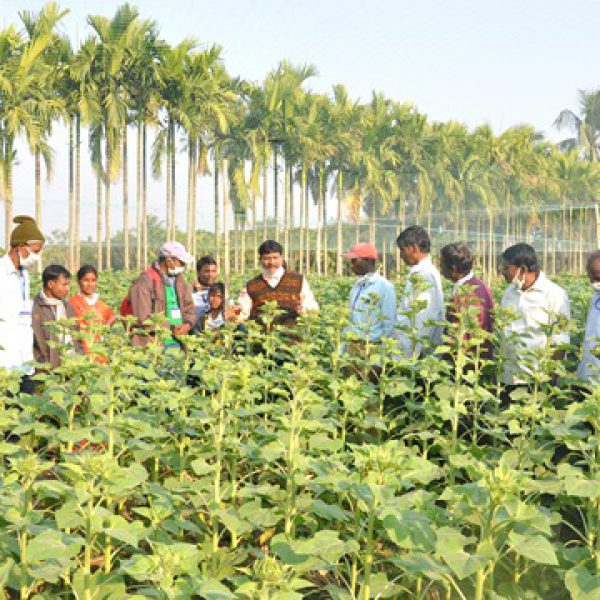 scientist__farmer_interaction_at_rakvk_instructional_farm