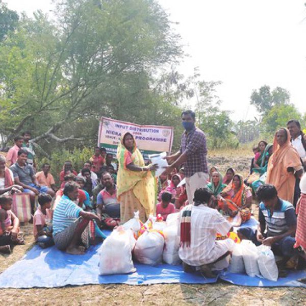 seed_distribution_of_early_green_gram_variety__virat_at_kaikhali_village_under_nicraiari_project