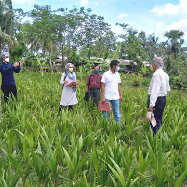 visit_to_a_coconut_nursery_at_raidighi_as_member_of_cdb_coconut_nursery_accreditation_programme (1)